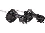 Ridex 854S1554 - Ammortizzatore Oe 54302 8H725, Asse Anteriore Per X-Trail (T30)