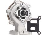 Stark SKWP-0520051 - Pompa Dell'acqua Oe PA6016 Per Mondeo Iii, Transit, X-Type (X400)