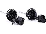 Ridex 854S2313 - Oe 54302 9U025 Ammortizzatore, Asse Anteriore Per Micra Iii (K12), Nota (E11, NE11)