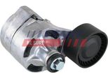 Fast FT44623 - Puleggia Tenditore Oe 1385379, Cinghia A V Per Transit