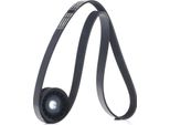 Stark SKRBS-1200796 - Set Di Cinghie A V Oe 1450947 Per C-Max, Focus Ii, C30 (533), S40 Ii (544), V50 (545)