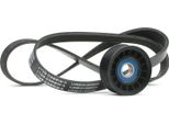 Ridex 542R0852 - Set Di Cinghie Oe 31258082 Con Nervatura A V Per C-Max, Focus Ii, C30 (533), S40 Ii (544), V50 (545)