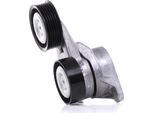 Ridex 310T0255 - Puleggia Tenditore Oe 1 352 451, Cinghia A V Per C-Max, Focus C-Max (DM2), Focus Ii