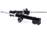 Ridex 854S1613 - Oe 0344152 StoßDäMpfer, Vorderachse FüR Combo, Combo Tour, Corsa C (X01), Meriva (X03), Tigra Twintop (X04)