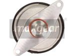 Maxgear 27-0175 - Valvola Egr Per 33 (907), Z3 (E36), Serie 1 (E81), Jumpy (U6U), Panda, Astra G, Vectra B (J96), Zafira A, Ibiza (6L), Toledo Ii (1M2)