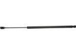 Ridex 219G0451 - Ammortizzatore Posteriore Oe 3T9 827 550 Per Superb Ii (3T)