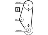 Gates 5311 - Cinghia Di Distribuzione Oe 030109119A Per Cordoba (6K), Ibiza (6K), Golf Iii (1H), Polo (80, 86C), Vento (1H)