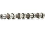 Stark SKCMS-1000017 - Nockenwelle Oe 24428752 Per Adam, Agila A, Astra G, Astra H, Astra (A04), Astra J, Combo, Combo Tour, Corsa C (X01), Corsa D (S07), Meriva (X03), Meriva B (S10), Tigra Twintop (X04)