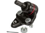Trw JBJ681 - Giunto Sferico Oe 43330 19115 Per Corolla (E12), Corolla (E21), Corolla (E11), Corolla (E10), Corolla Verso (E12), Prius Phv (W52), Rav 4 Ii (A2), Celica (T23), Corolla (E15)