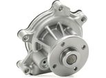 Stark SKWP-0520258 - Pompa Acqua Oe 16100 09140 Per Yaris (P9), Yaris (P1)