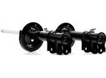 Ridex 854S1849 - Ammortizzatore Oe 454 320 03 30 Assale Anteriore Forfour (454)
