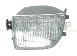 Prasco VG0514314 - Indicatore Di Direzione Oe 3A0953049A, Sinistro Per Passat (35I)