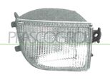 Prasco VG0514313 - Indicatore Di Direzione Oe 3A0953050A, Destro Per Passat (35I)