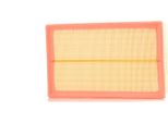 Stark SKAF-0060064 - Filtro Aria Oe 7E0129620 Per T6, T5