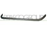 Prasco VG0811243 - Oe 1J5807719B41 Modanatura, Paraurti Anteriore, Per Bora (1J)