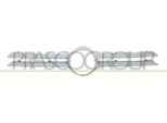 Prasco VG0342011 - Griglia Radiatore Oe 1J0853601FDY Per Golf Iv (1J)