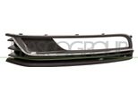 Prasco VG0552124 - Griglia Di Ventilazione Oe 3AA8546619B9, Sinistra Per Passat (365, 362)