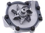 Stark SKWP-0520381 - Pompa Acqua Oe 31338211 Per S60 Ii (134), S80 Ii (124), S90 Ii (234), V60 I (155, 157), V60 Ii (225, 227), V70 Iii (135), V90 Ii (235, 236), XC40 (536), XC60 (156), XC60 Ii (246), XC70 Ii (136), XC90 Ii (256)