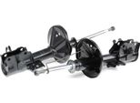 Ridex 854S1787 - Ammortizzatore Oe MR102433, Asse Anteriore Per S40 I (644), V40 (645)