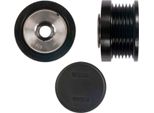 Gates OAP7245 Ruota Libera Alternatore Oe 55244937 Compatibile Con V50, S40, C30, Renegade, Kuga, Fiesta, Tipo, 500X, 500L, Giulietta, Giulia