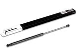Ridex 219G0253 - Oe 84 43 000 01R Ammortizzatore Posteriore Per Laguna Iii
