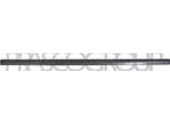 Prasco VG0521413 - Oe 3B0853516B41 Modanatura, Anteriore Destra Per Passat (3B)