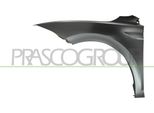 Prasco VG0253004 - Parafango Anteriore Sinistro Oe 2G0821105 Per Polo (AE1, AW1, BZ1)
