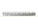 Prasco OP4101463 - Oe 24461100 Modanatura, Posteriore Destra Per Astra H