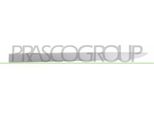 Prasco OP0341424 - Oe 13188300 Striscia Di Rivestimento, Anteriore Sinistra Per Corsa D (S07)