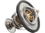 Stark SKTC-0560210 - Termostato Liquido Di Raffreddamento Oe 25500 3C100 Per Genesis (Bh), Genesis, Grandeur (Tg), Ix55, Sonata V (Nf), Opirus (Gh), Sorento I (Jc), 4 Runner, Hilux