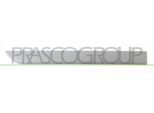 Prasco OP0341463 - Oe 13188293 Modanatura, Posteriore Destra Per Corsa D S07