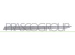 Prasco OP0341444 - Oe 13188302 Striscia Di Rivestimento, Anteriore Sinistra Per Corsa D (S07)
