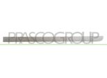 Prasco OP3501464 - Oe 13113504 Striscia Di Rivestimento, Posteriore Sinistra Per Meriva (X03)