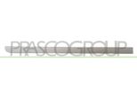 Prasco OP3501463 - Oe 13113501 Striscia Di Rivestimento, Posteriore Destra Per Meriva (X03)