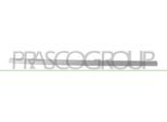 Prasco OP3501413 - Oe 13113507 Modanatura, Anteriore Destra Per Meriva (X03)