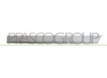 Prasco OP4101464 - Oe 24461103 Modanatura, Posteriore Sinistra Per Astra H