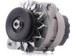 Stark SKGN-0320327 - Alternatore Oe 4799364 Per Ducato