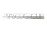 Prasco OP0341423 - Oe 13188299 Modanatura, Anteriore Destra Per Corsa D (S07)