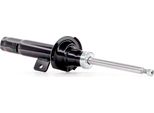 Ridex 854S0697 - Oe 319730197 Ammortizzatore, Asse Anteriore Sinistro Per 406