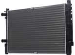 Stark SKRD-0120425 - Radiatore Oe R10552, Raffreddamento Motore Per T4