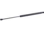 Ridex 219G0757 - Ammortizzatore Posteriore Oe 8200000902 Per Laguna Ii