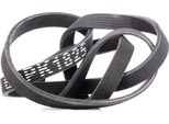 Stark SKPB-0090112 - Cinghia A V Oe 9A1 102 217 00 Per 911 (991), C70 I (872, 873), S60 I (384), S70 (874), S80 I (184), V70 I (875, 876), V70 Ii (285), XC70 (295), XC90 I (275)