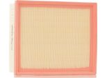 Stark SKAF-0060054 - Filtro Aria Oe 7700111834 Per Vel Satis (BJ0), Laguna Ii, Laguna I, Espace Iv (Jk), Clio Ii