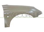 Prasco PG0093013 - Parafango Oe 7841L8, Anteriore Destro Per 206 (2A/C), 206 (2E/K), 206 Sw (2E/K), 206 Van
