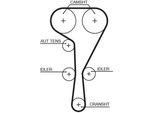 Gates 5551XS - Cinghia Dentata Oe 7701064010 Per Laguna Ii