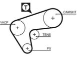 Gates 5513XS - Cinghia Dentata Oe 7700858045 Per Laguna I
