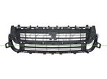 Prasco PG9122001 - Griglia Radiatore Oe 1613573580 Per Partner, Partner Tepee