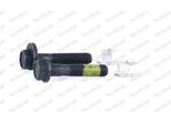 Monroe 401081RM - Ammortizzatore Oe 5202EY Per 206 (2A/C), 206 (2E/K), 206 Sw (2E/K), 206 Van, 206+