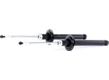 Ridex 854S1820 - Oe 77 00 821 057 Ammortizzatore, Assale Posteriore Per Twingo I (C06), Twingo I (S06)