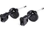 Ridex 854S2221 - Oe 77 00 435 333 Ammortizzatore, Asse Anteriore Per Thalia Ii (Lu), Thalia I (Lb), Clio Ii